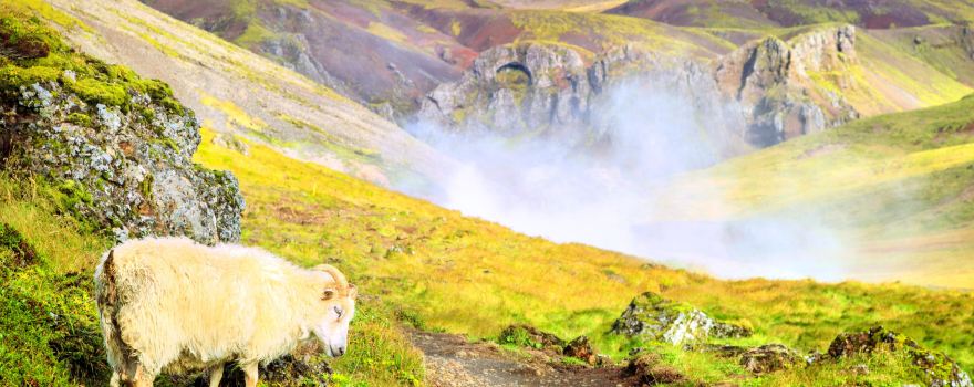 Reykjadalur Valley
