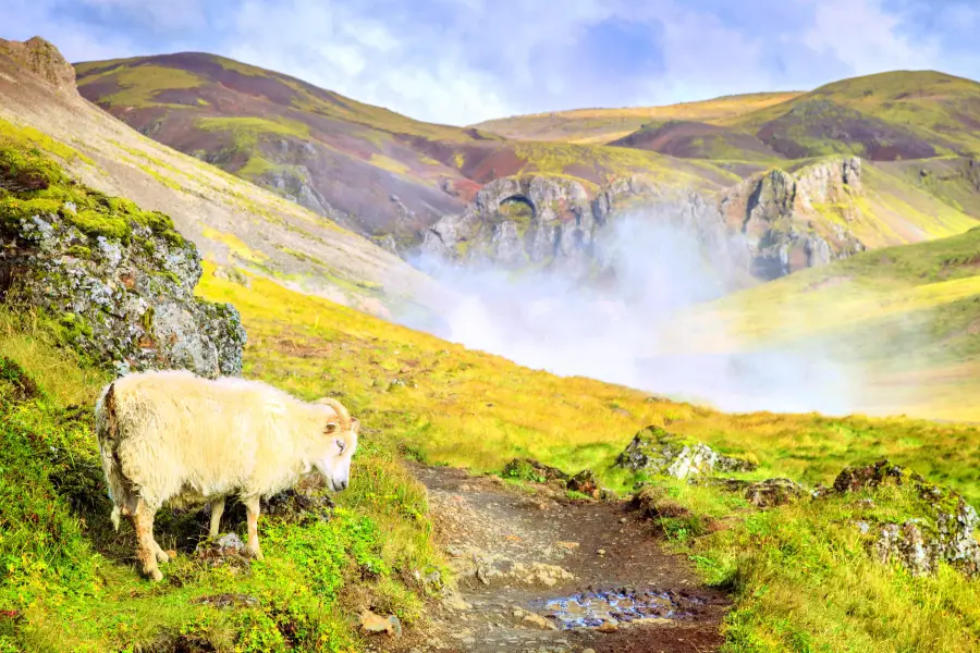 Reykjadalur Valley