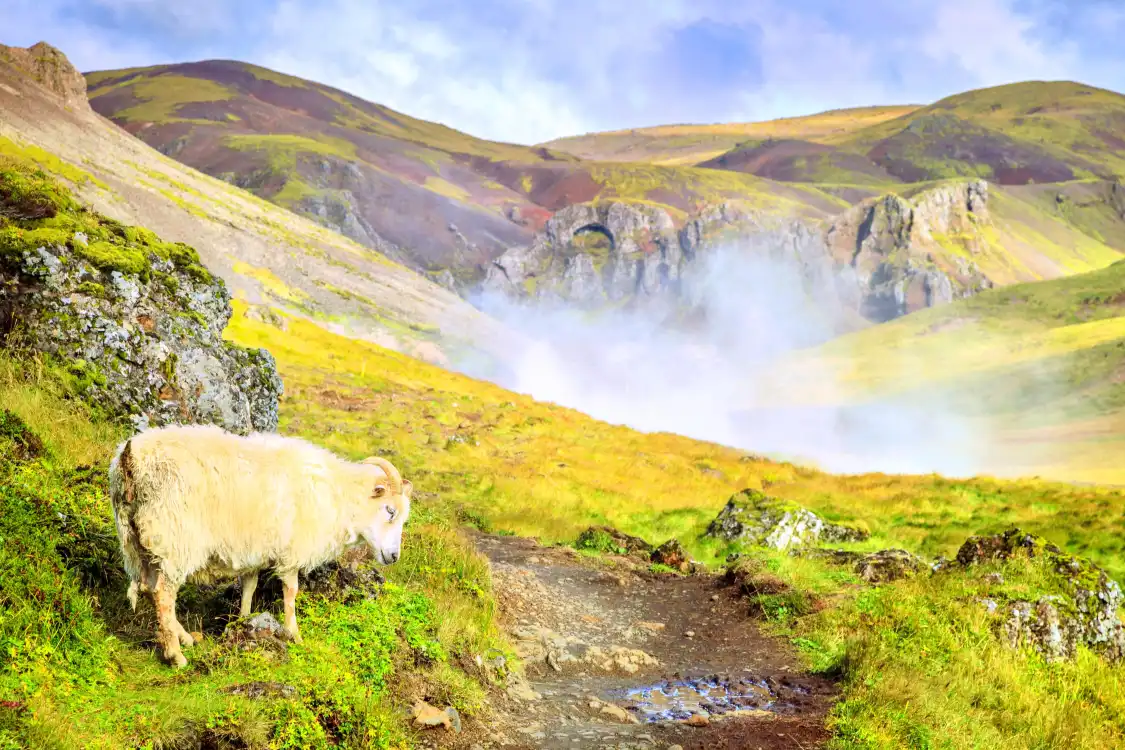 Các khách sạn gần Reykjadalur Valley