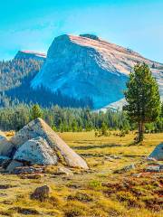 Tuolumne Meadows