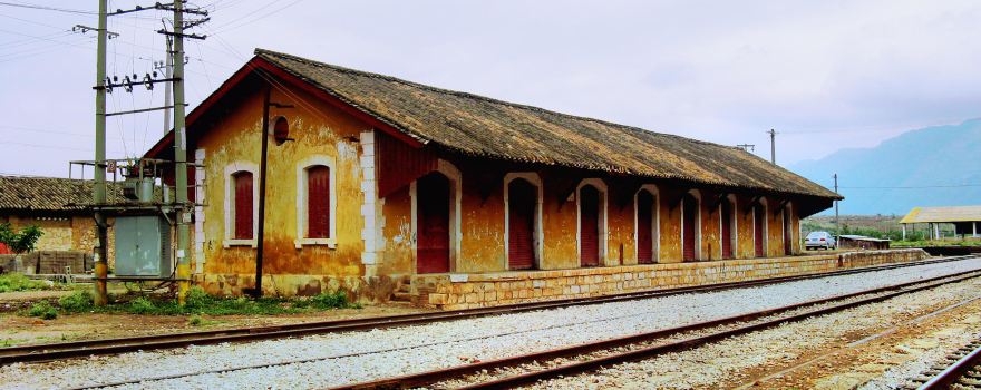 Hoa lu