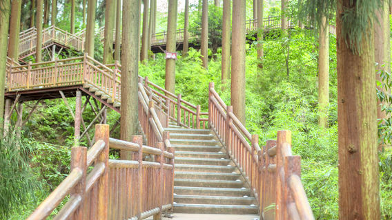 Qiliping Zen