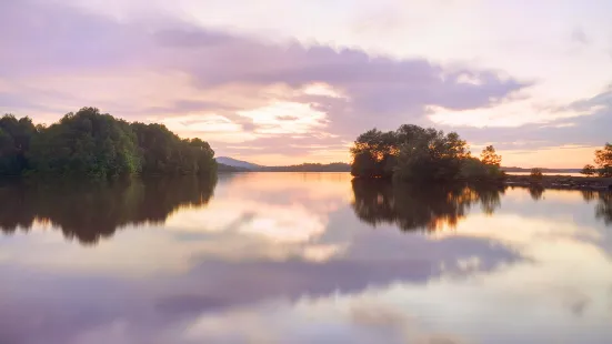 Borneo Mangrove Bay.