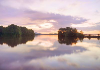 BORNEO MANGROVE BAY