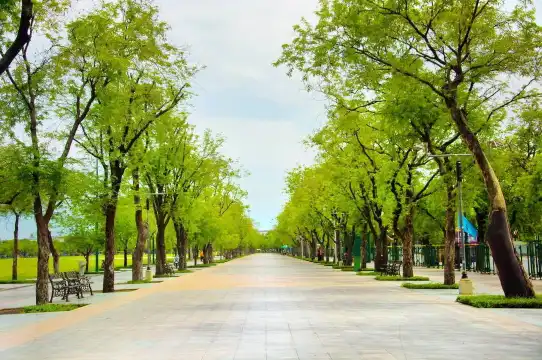 鄰近皇家田廣場的酒店