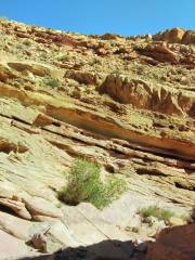 Goblin Valley State Park