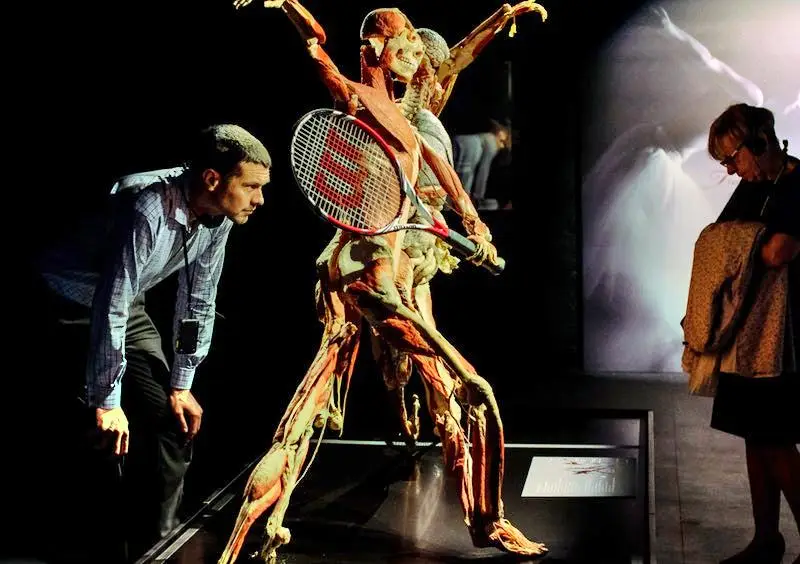 BODY WORLDS London