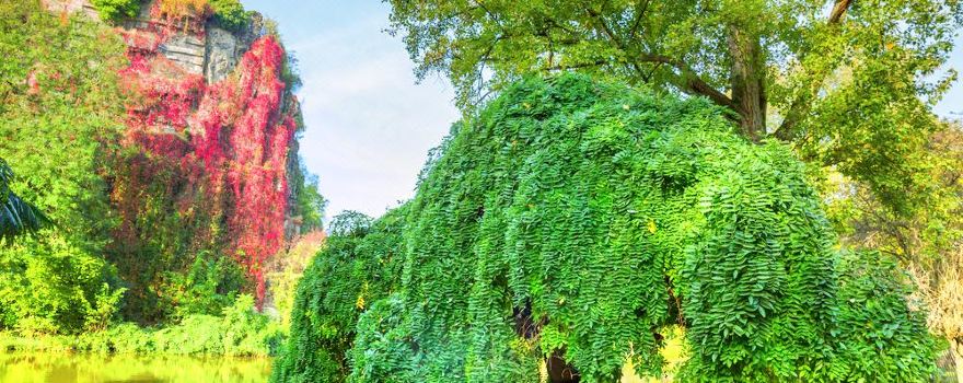 Parc des Buttes-Chaumont