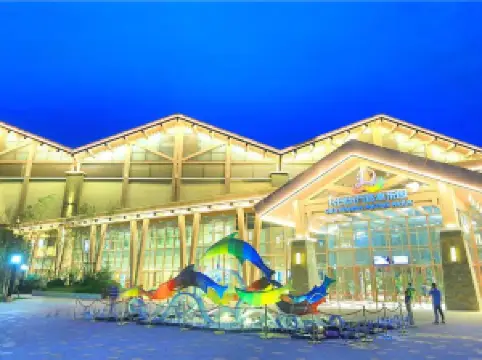 푸쑹의 인기 야경 필수 코스