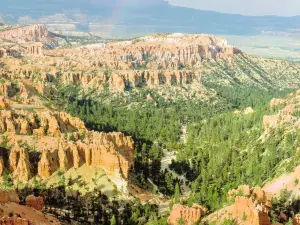 Bryce Pt Rd