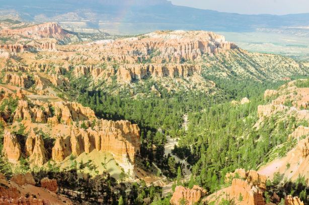 Bryce Pt Rd