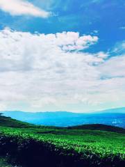 Mount Dempo