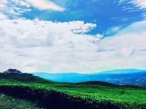 Mount Dempo