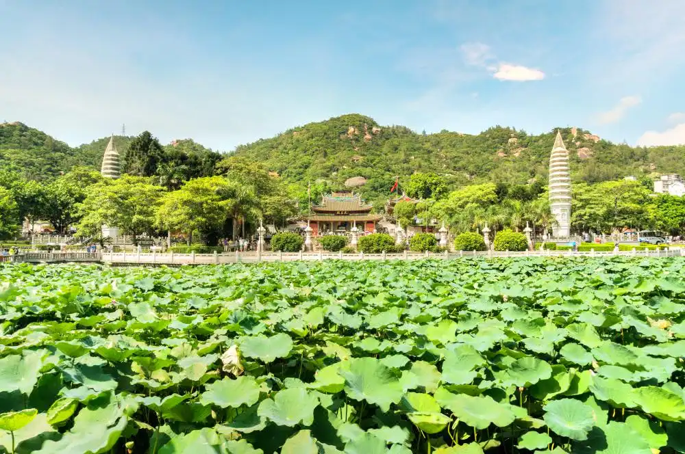 Hotels near Wulao Peak