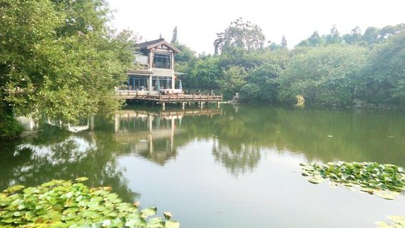 Wuzhong