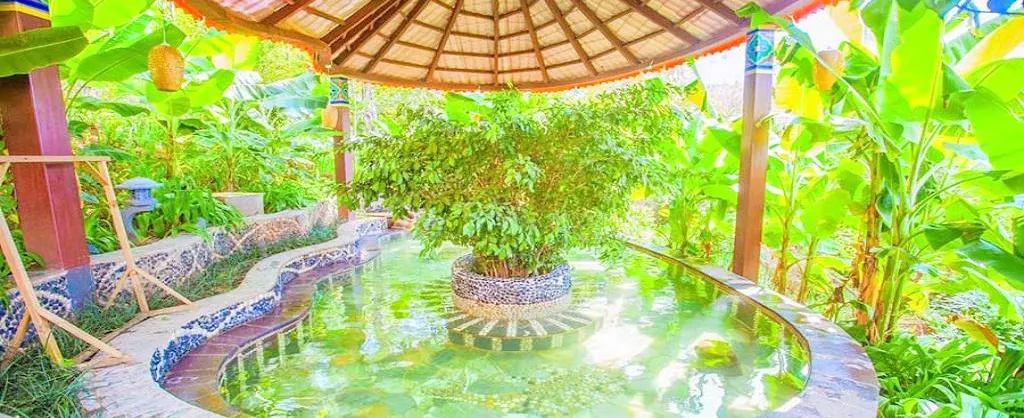 Hot Springs Attractions