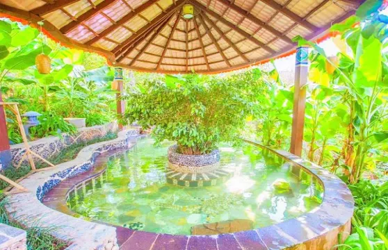 德茂溫泉度假區溫泉票小童