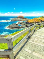 Phillip Island Nature Parks