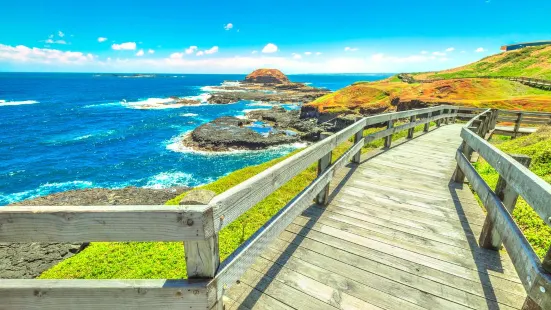 Phillip Island Nature Parks