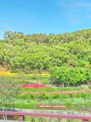 Dapingshan Jiaoye Park