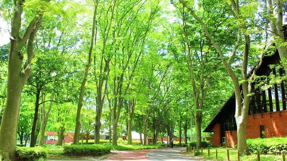 Doho Park