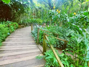 Garden of the Sleeping Giant