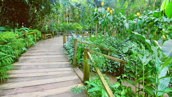 Viti Levu