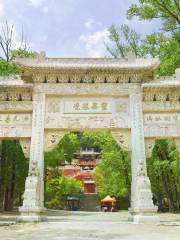 Храм Цинчэнь
