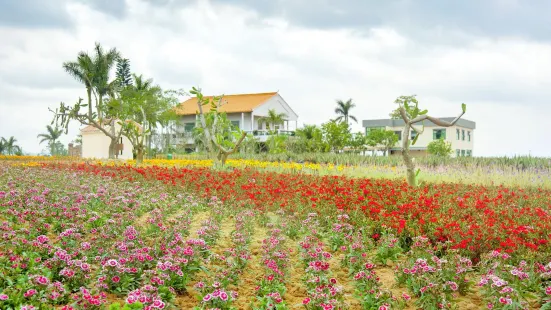 璦露德瑪蘆薈莊園