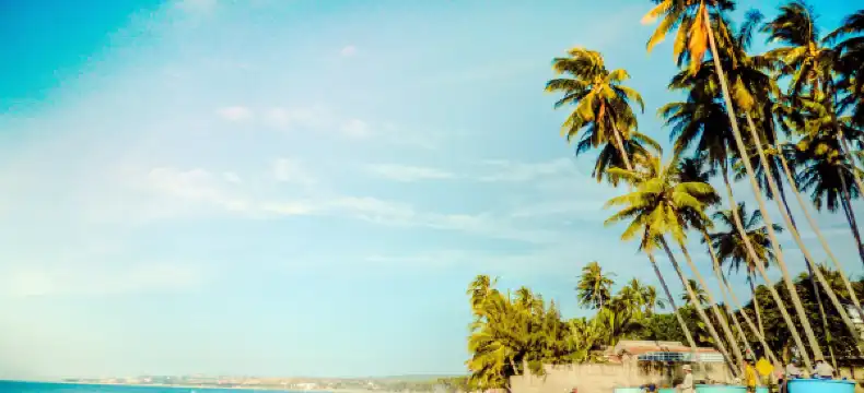 โรงแรมในฟานเที้ยต