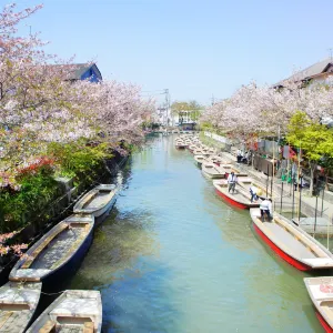 柳川
