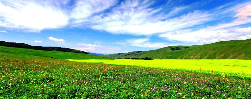 Gongnaisi Scenic Area Banchangou