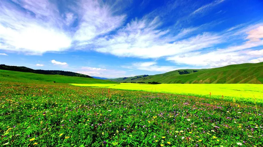 Gongnaisi Scenic Area Banchangou