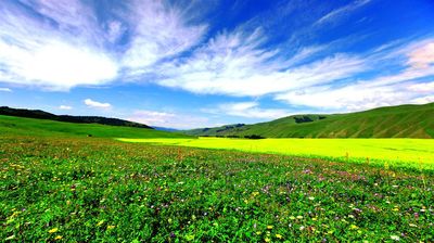 Hejing Banchan Valley Scenic Area