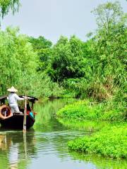 Jinyin Lake Wetland Park