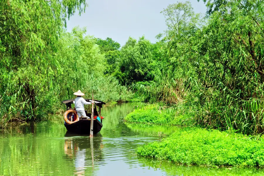 Jinyin Lake Wetland Park