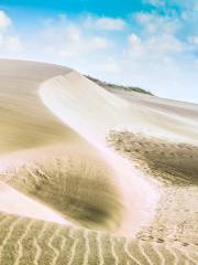 Sigatoka Sand Dunes National Park