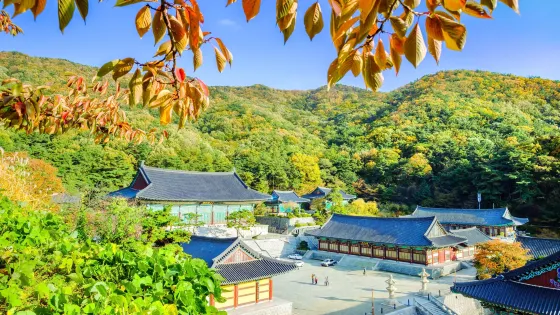 覺願寺