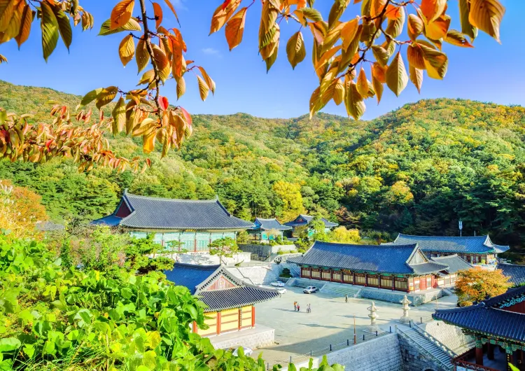 천안 날씨, 천안 기온 가이드, 여행하기 가장 좋은 계절, 기온별 옷차림