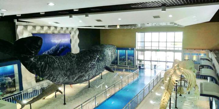 Rudong Sperm Whale Exhibition Hall