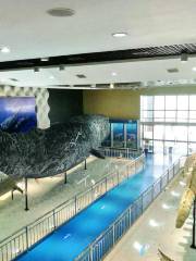 Rudong Sperm Whale Exhibition Hall