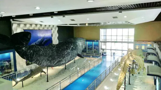 Rudong Sperm Whale Exhibition Hall