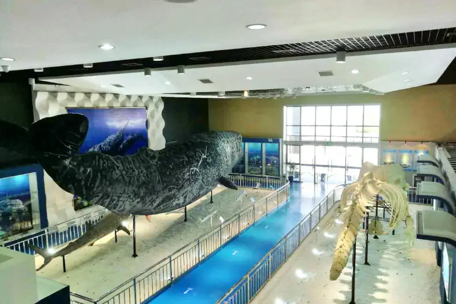 Rudong Sperm Whale Exhibition Hall