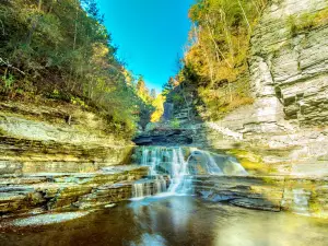 Robert H. Treman State Park