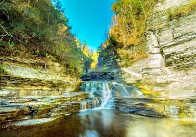 Robert H. Treman State Park