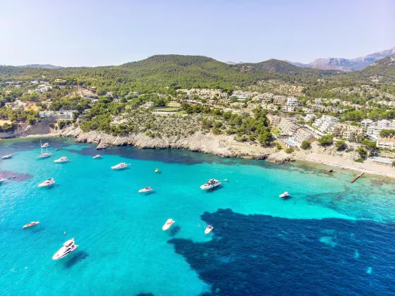 Alcudia Villas