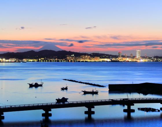 三浦市 自由行套票