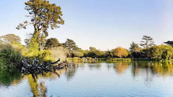 史托湖