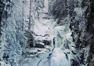 Triberg Waterfalls