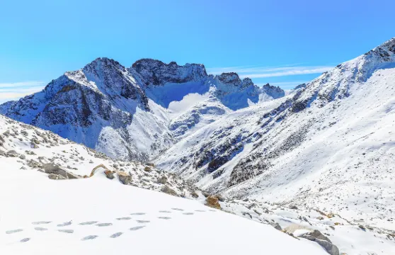 達古冰川風景區一日遊【無購物+贈達古冰川風景區門票】